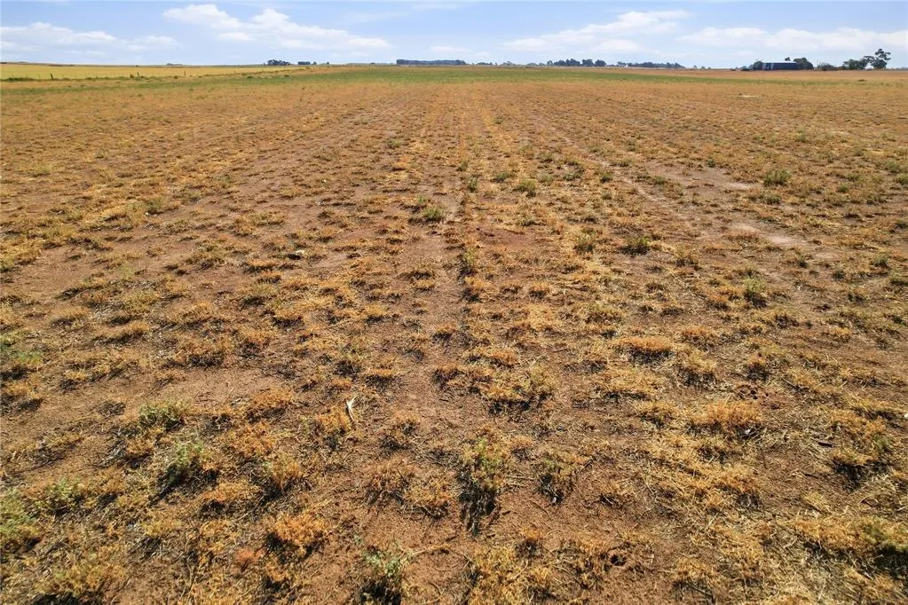Photo 11 — County Road Ew 174, Tipton, OK 73570