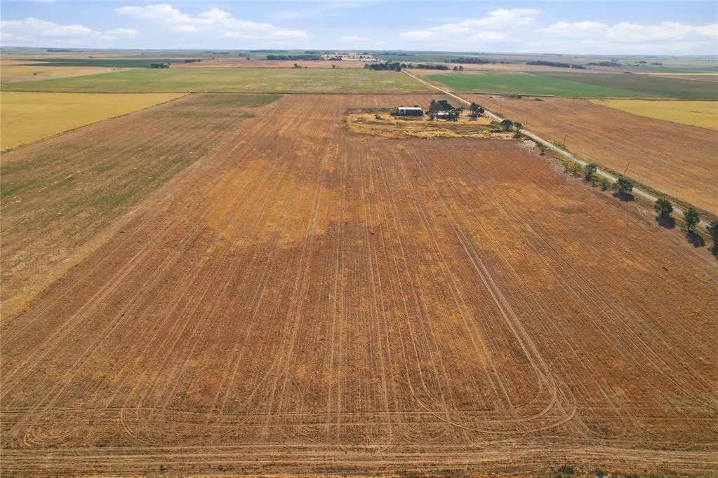 Photo 13 — County Road Ew 174, Tipton, OK 73570