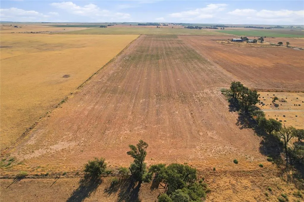 Photo 16 — County Road Ew 174, Tipton, OK 73570