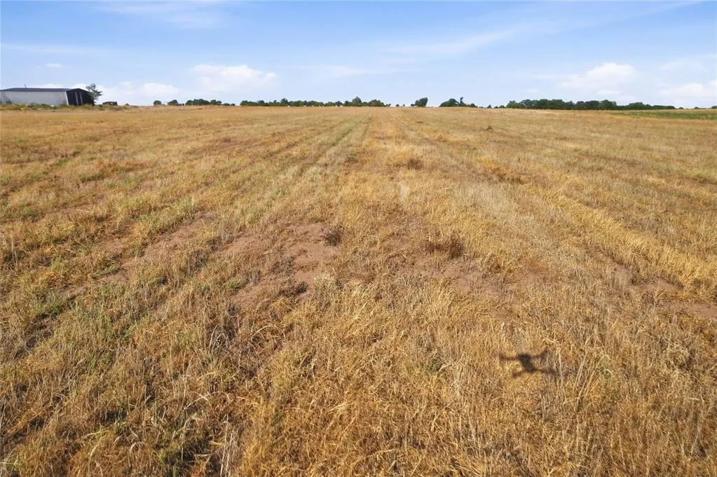 Photo 17 — County Road Ew 174, Tipton, OK 73570