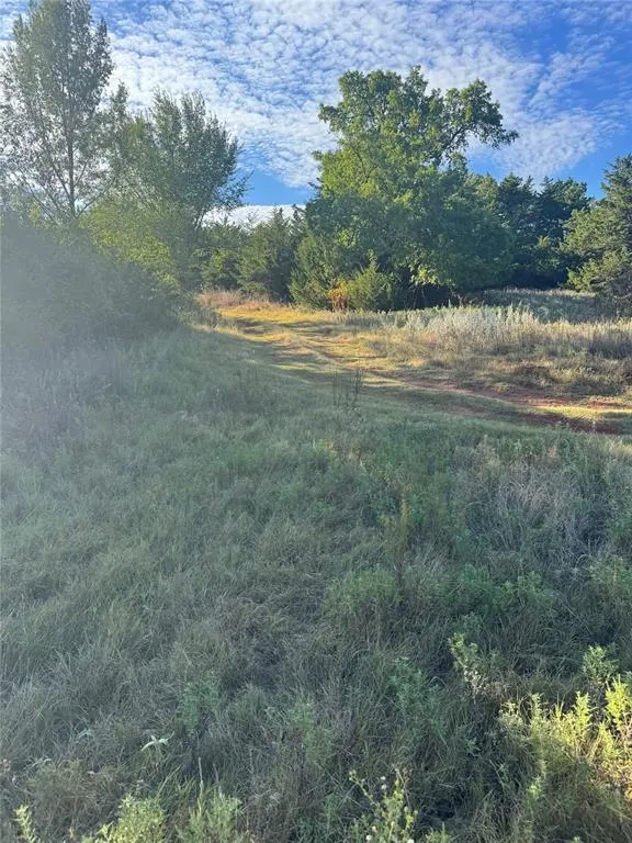 Photo 3 — W County Road 1200 Road, Minco, OK 73059