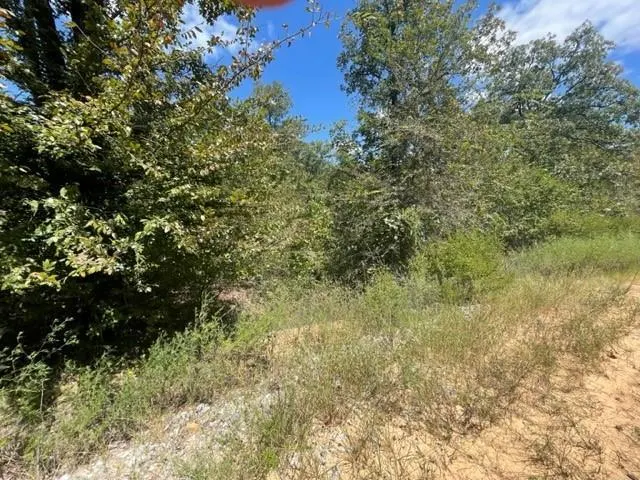 Photo 10 — EW 1260 Road, Seminole, OK 74868