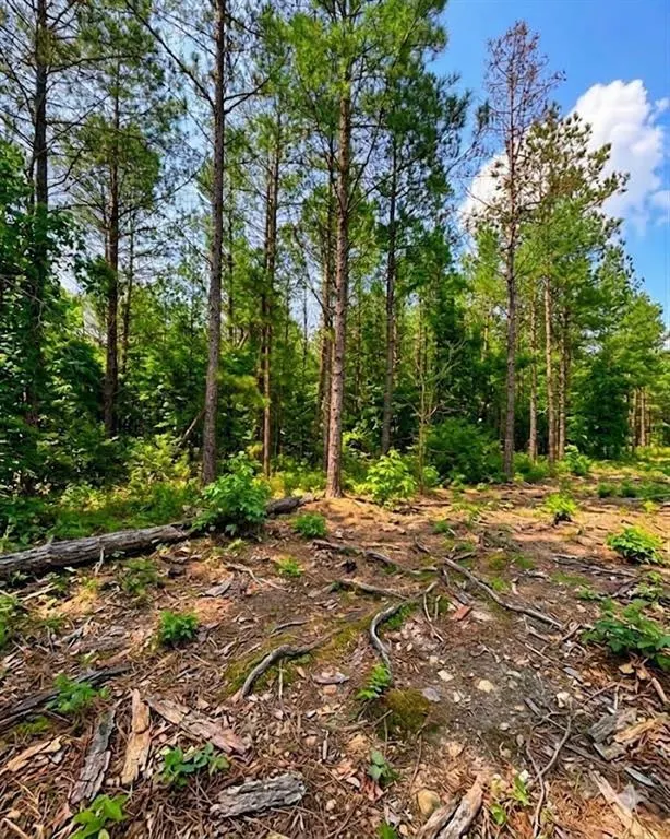 Photo 2 — 122 Southern Locust Trail, Broken Bow, OK 74728
