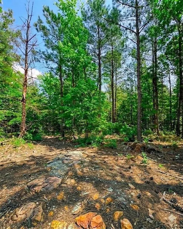 Photo 3 — 122 Southern Locust Trail, Broken Bow, OK 74728