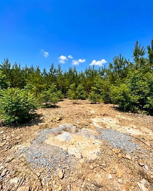 Photo 2 — 68 Southern Spruce Trail, Broken Bow, OK 74728