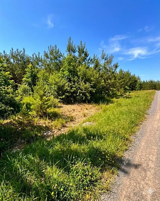Photo 3 — 68 Southern Spruce Trail, Broken Bow, OK 74728