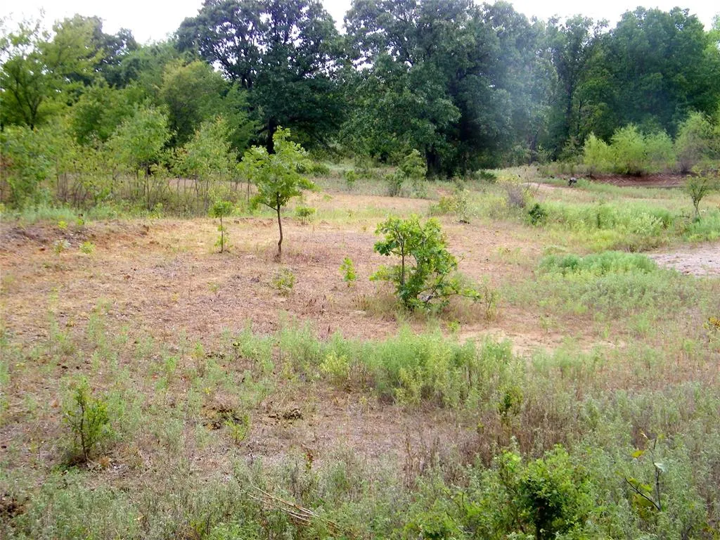 Photo 5 — 8079 County Road 1460, Ada, OK 74820