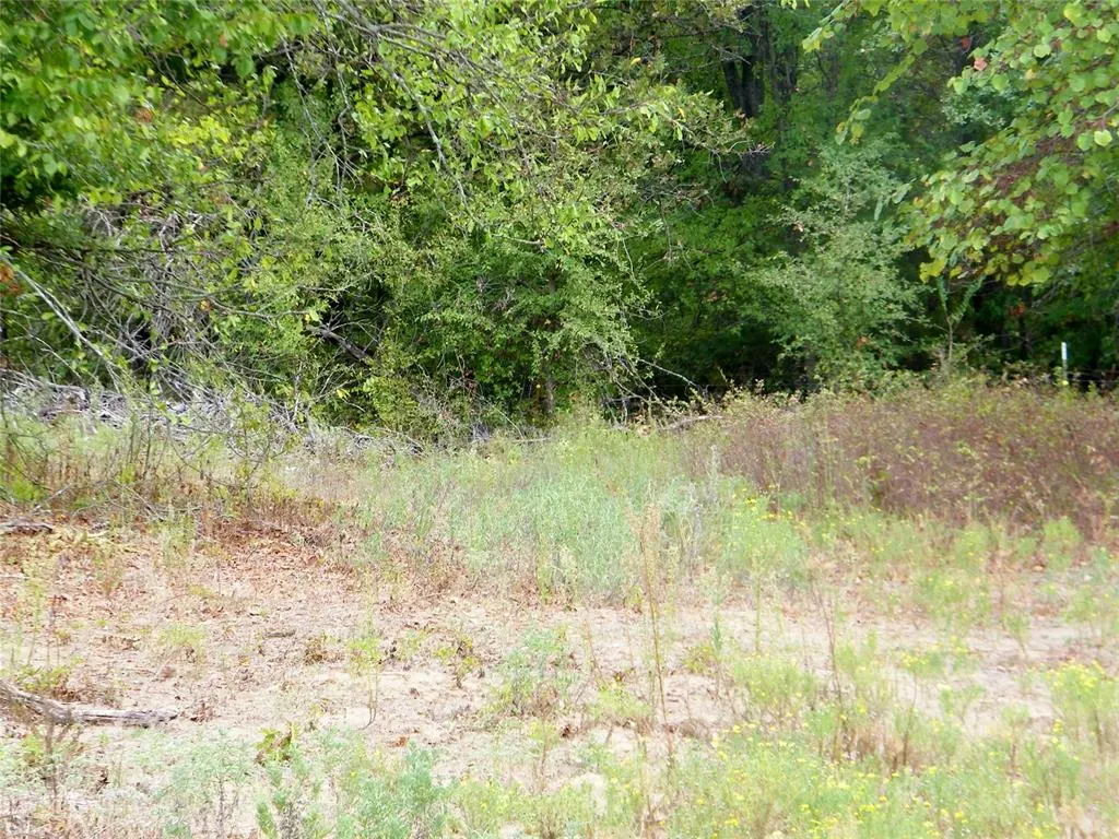 Photo 9 — 8079 County Road 1460, Ada, OK 74820