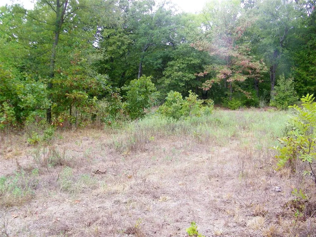 Photo 17 — 8079 County Road 1460, Ada, OK 74820