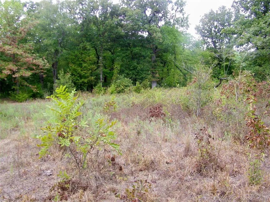 Photo 18 — 8079 County Road 1460, Ada, OK 74820