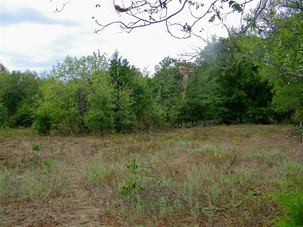 Photo 19 — 8079 County Road 1460, Ada, OK 74820