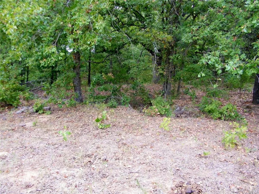 Photo 29 — 8079 County Road 1460, Ada, OK 74820