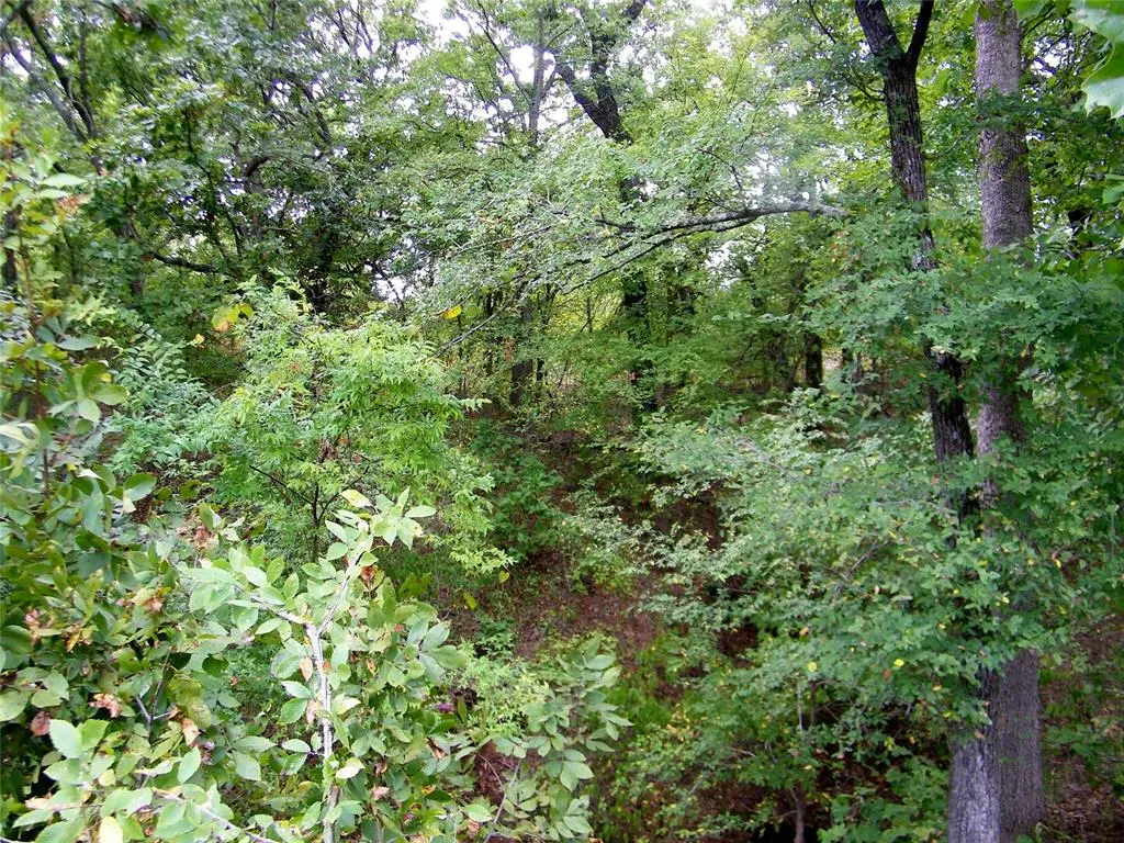 Photo 32 — 8079 County Road 1460, Ada, OK 74820