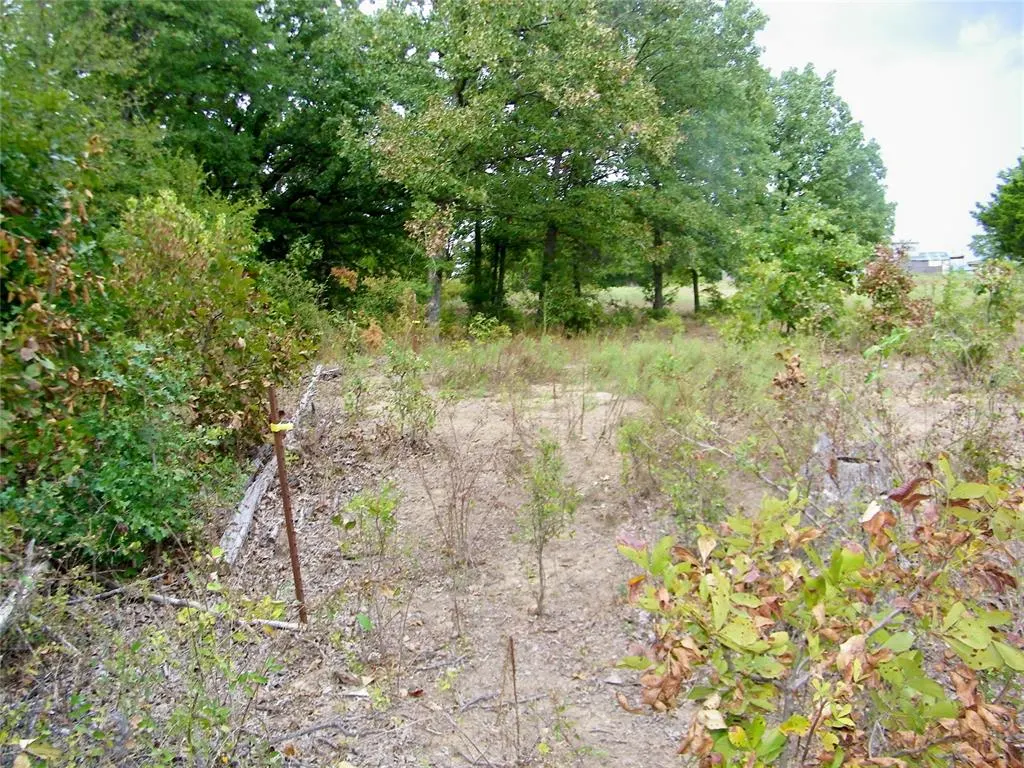 Photo 34 — 8079 County Road 1460, Ada, OK 74820