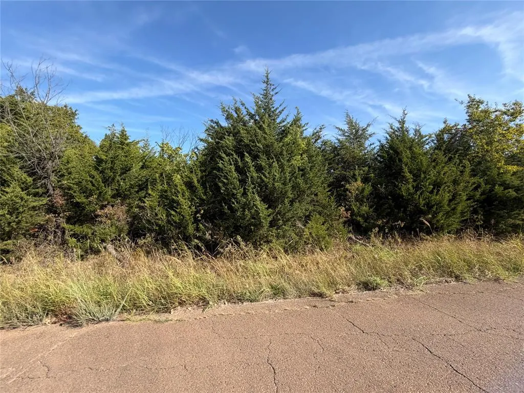 Photo 5 — 0 Bronco Road, Perry, OK 73077