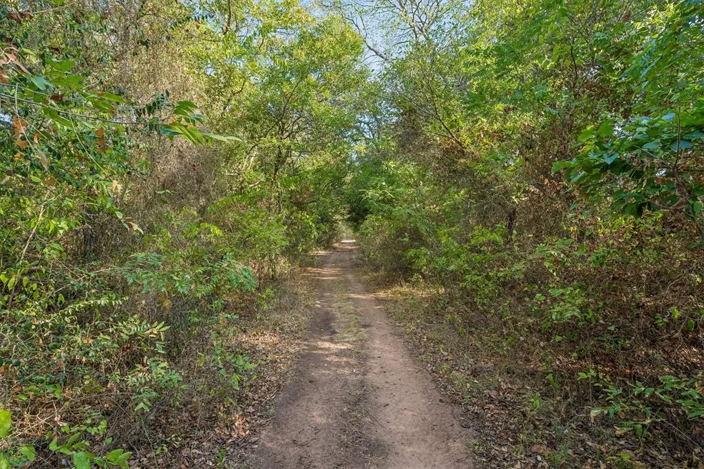 Photo 47 — 12524 E County Road 1540, Lindsay, OK 73052