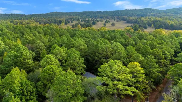 Photo 4 — 291 Split Paddle Lane, Broken Bow, OK 74728