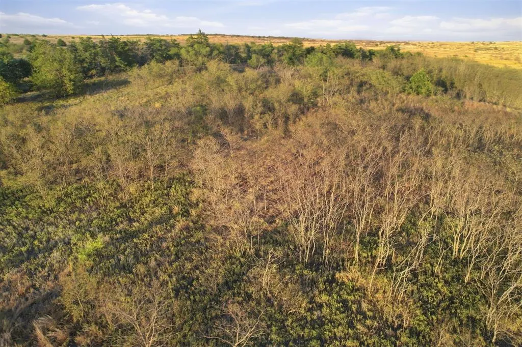 Photo 45 — 1550 E County Road Road, Mangum, OK 73554