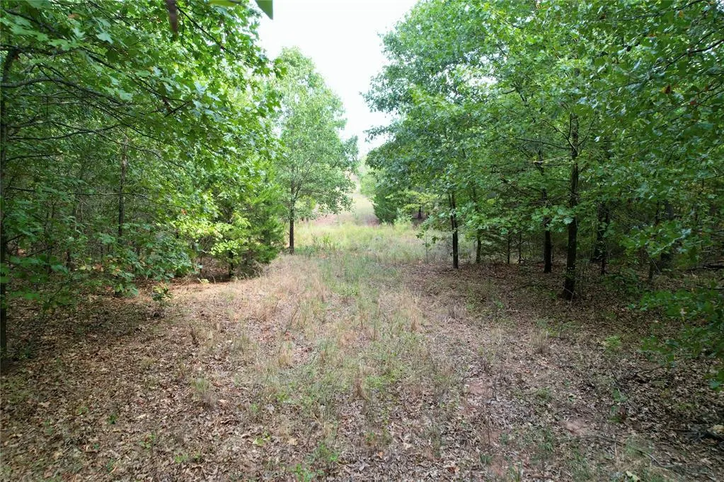 Photo 2 — 7675 Peaceful Oaks Lane, Macomb, OK 74852