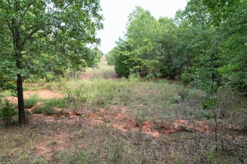 Photo 24 — 7675 Peaceful Oaks Lane, Macomb, OK 74852
