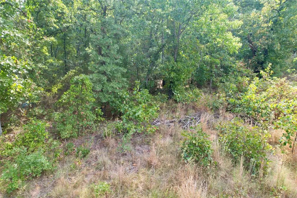 Photo 43 — 7675 Peaceful Oaks Lane, Macomb, OK 74852