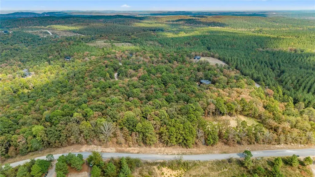 Photo 2 — 530 Woodland Bluff Trail, Broken Bow, OK 74728