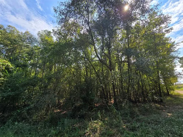 Photo 4 — Buffalo Road, Smithville, OK 74957