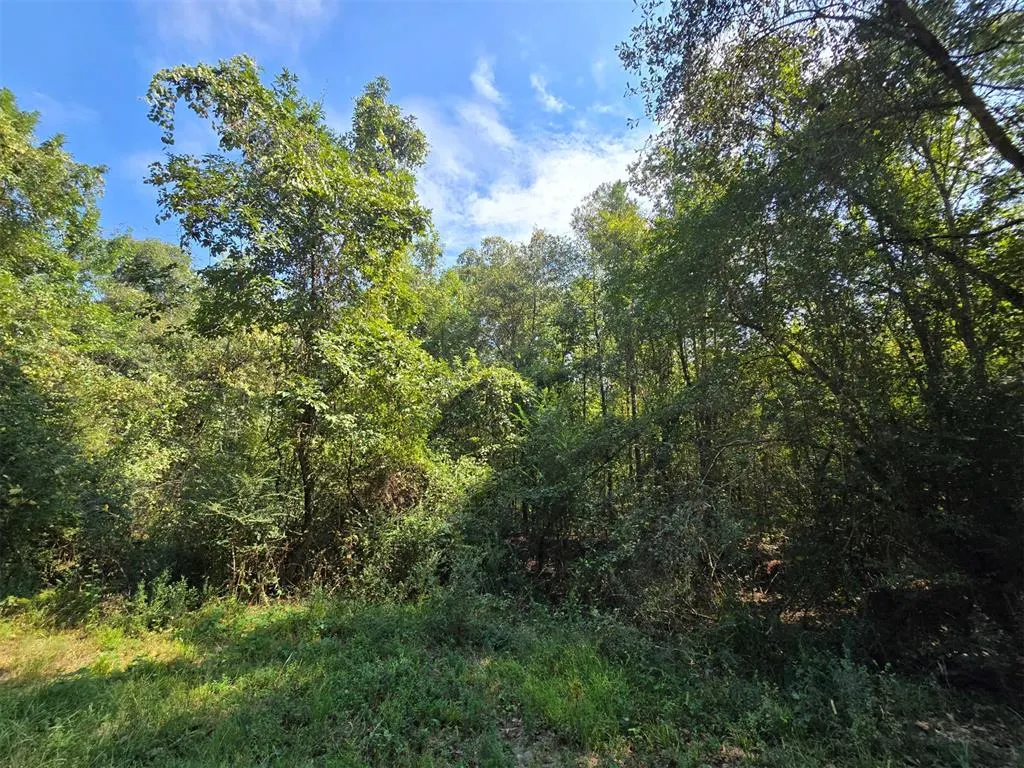 Photo 5 — Buffalo Road, Smithville, OK 74957