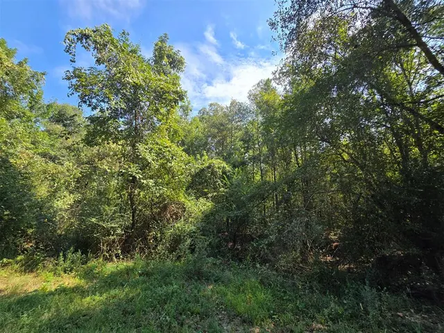 Photo 5 — Buffalo Road, Smithville, OK 74957