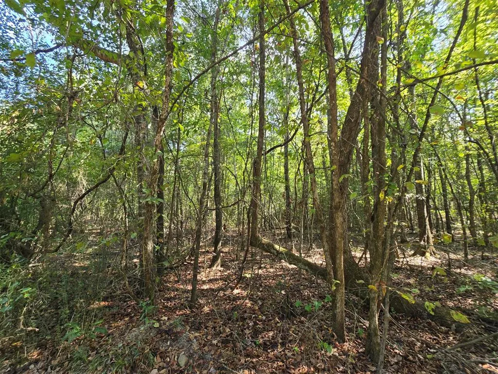 Photo 6 — Buffalo Road, Smithville, OK 74957