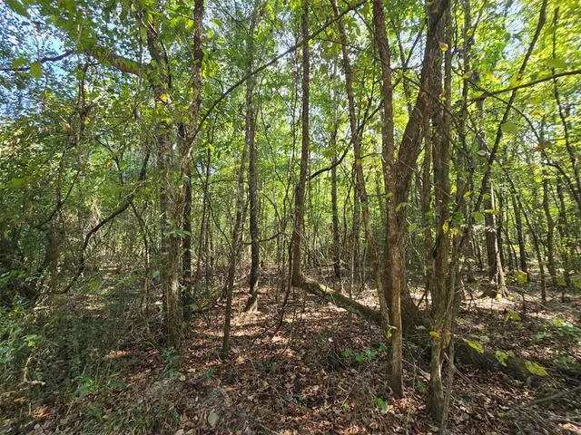 Photo 6 — Buffalo Road, Smithville, OK 74957