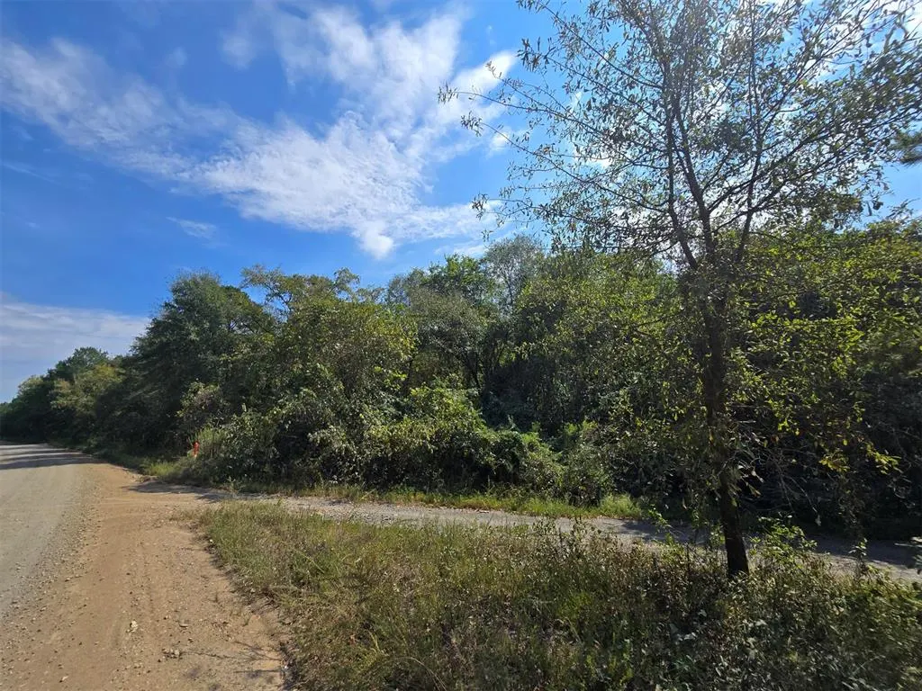 Photo 8 — Buffalo Road, Smithville, OK 74957