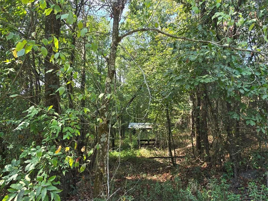 Photo 3 — Buffalo Road, Smithville, OK 74957