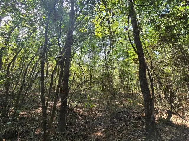 Photo 5 — Buffalo Road, Smithville, OK 74957