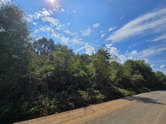 Photo 7 — Buffalo Road, Smithville, OK 74957