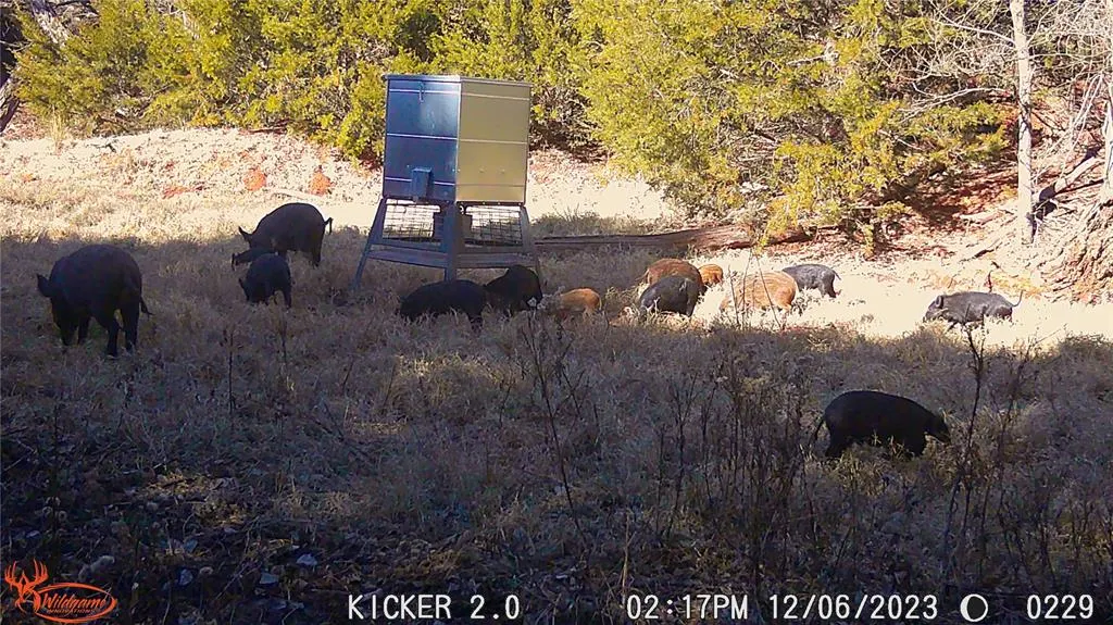 Photo 20 — Rural, Arapaho, OK 73620