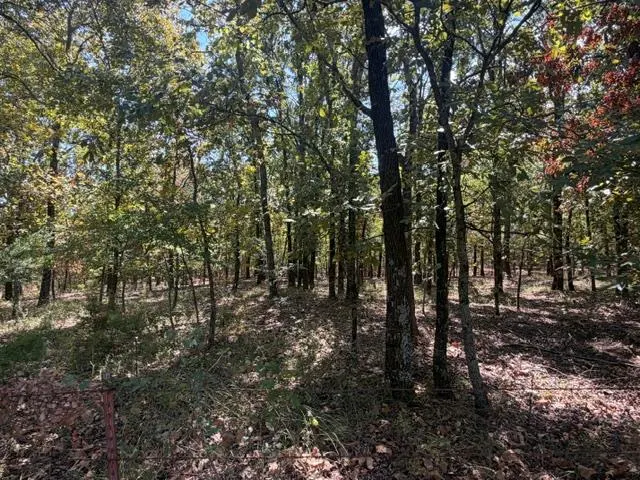 Front exterior — 12593 S Crystal Cemetery Road, Lane, OK 74555