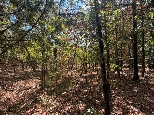Photo 2 — 12593 S Crystal Cemetery Road, Lane, OK 74555