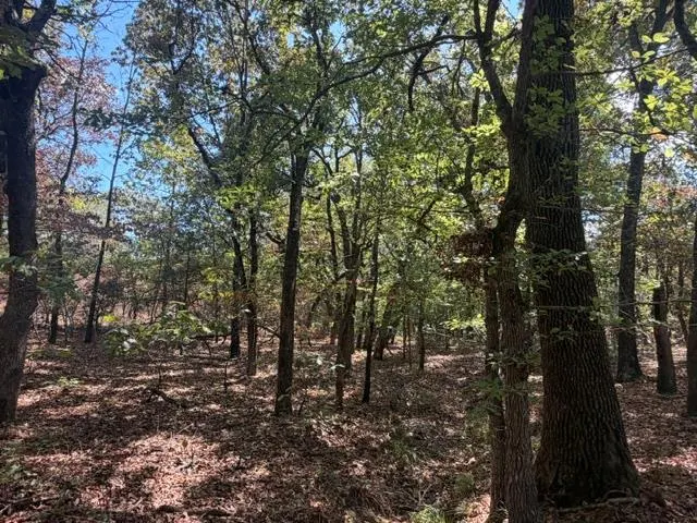 Photo 3 — 12593 S Crystal Cemetery Road, Lane, OK 74555