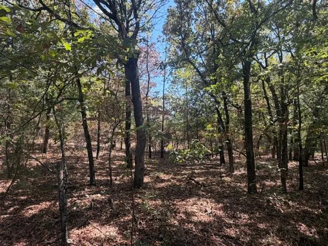 Photo 4 — 12593 S Crystal Cemetery Road, Lane, OK 74555