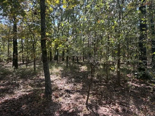 Photo 5 — 12593 S Crystal Cemetery Road, Lane, OK 74555