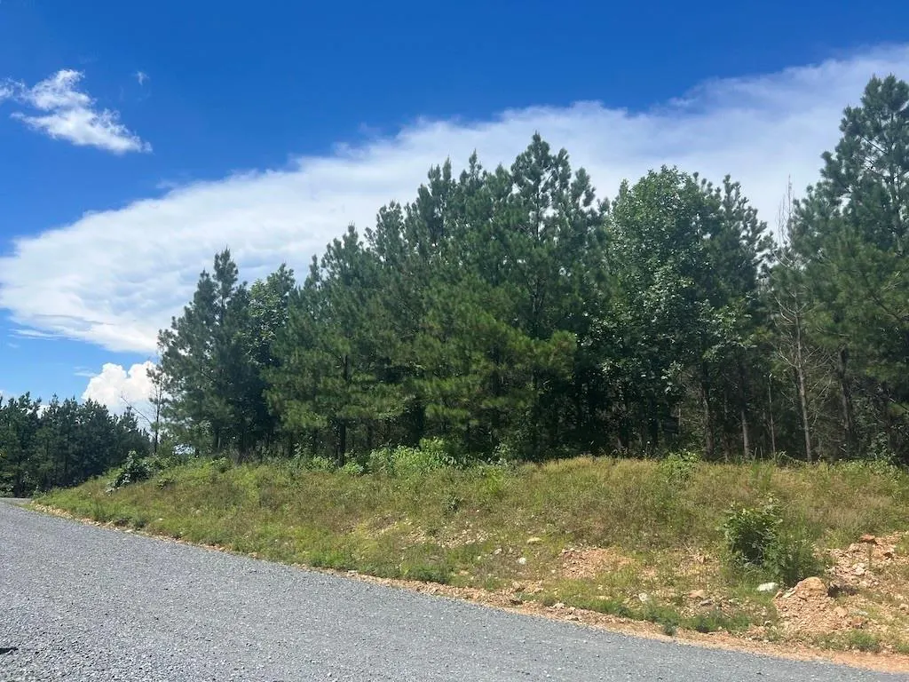 Photo 2 — 14 Morning Pines Trail, Broken Bow, OK 74728