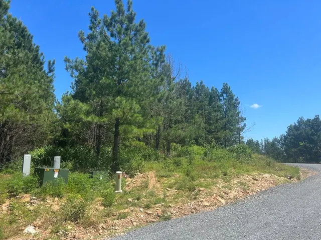Photo 3 — 14 Morning Pines Trail, Broken Bow, OK 74728