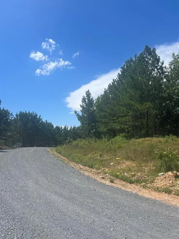 Photo 5 — 14 Morning Pines Trail, Broken Bow, OK 74728