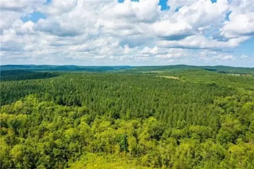 Photo 7 — 14 Morning Pines Trail, Broken Bow, OK 74728