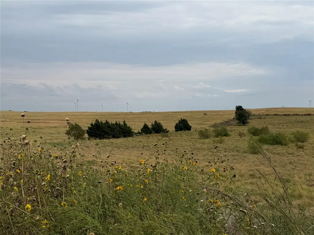 Photo 6 — 39111 Us Highway 281, Apache, OK 73006