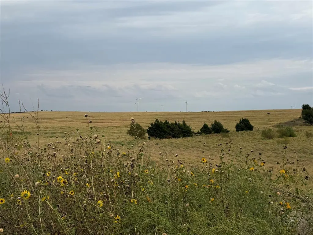 Photo 7 — 39111 Us Highway 281, Apache, OK 73006