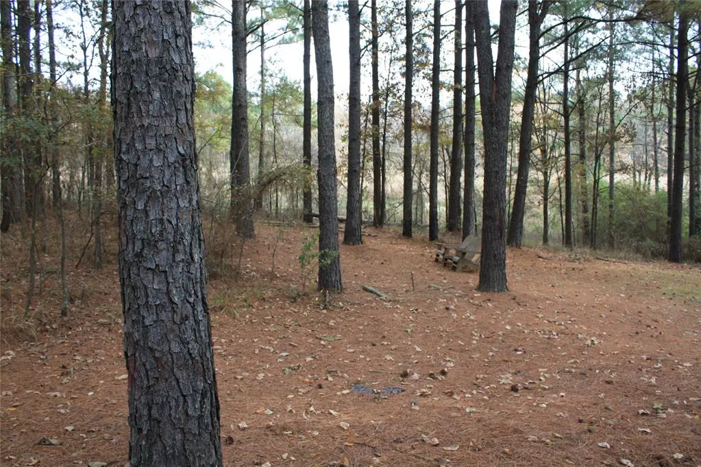 Photo 28 — 78 Hemlock Grove Road, Broken Bow, OK 74728