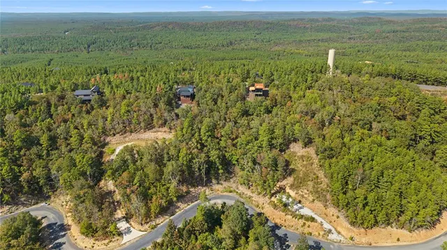 Photo 7 — 389 Virginia Pine Place, Broken Bow, OK 74728