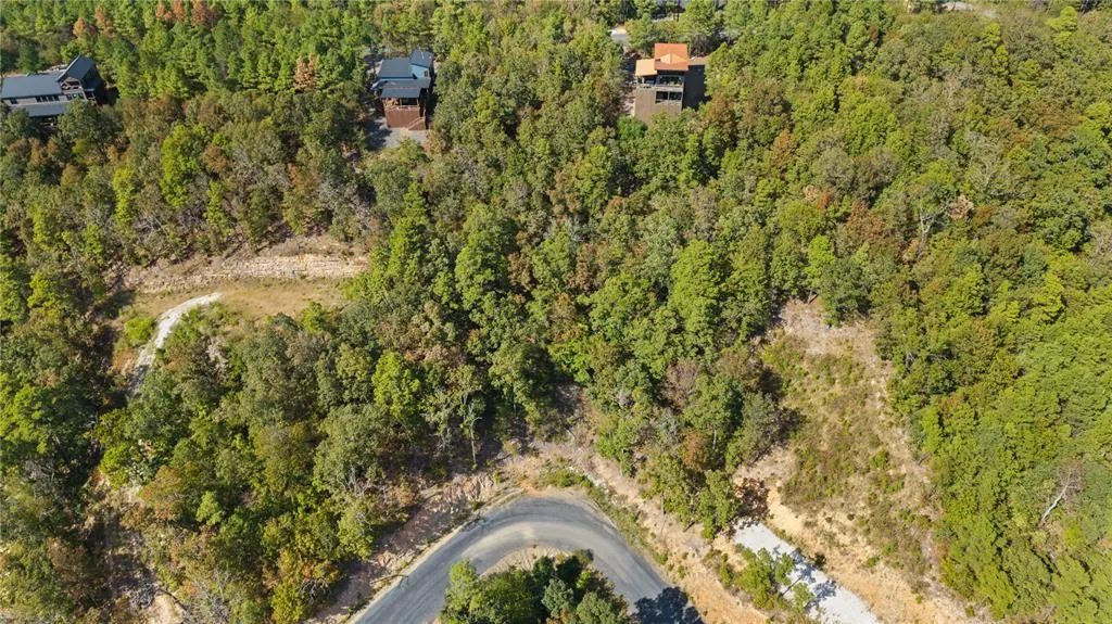 Photo 8 — 389 Virginia Pine Place, Broken Bow, OK 74728